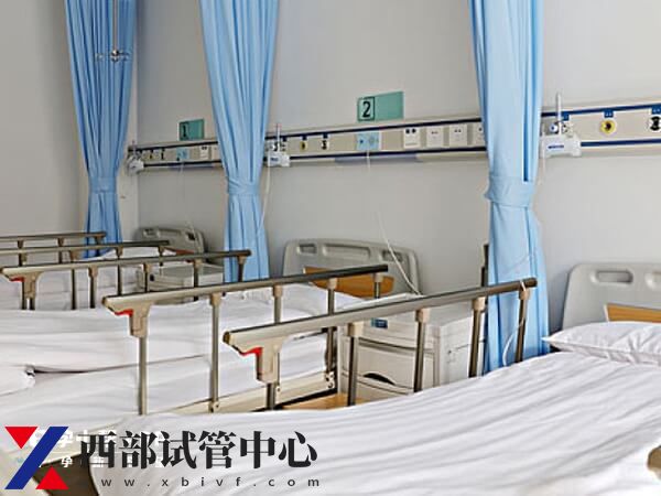 做試管需要哪些材料